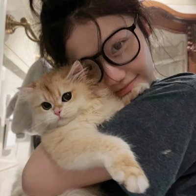 莎士比亚:一个天才的崛起